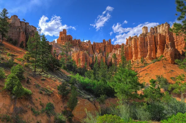 stock image Bryce Canyon