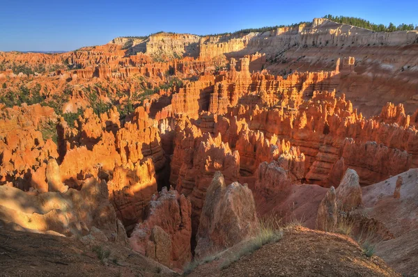 stock image Bryce Canyon