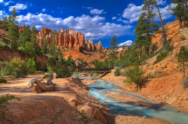 stock image Bryce Canyon