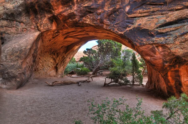 Navajo Arch