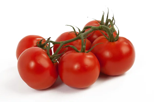 Tomaten auf weißem Hintergrund Stockbild