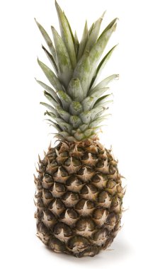 taze ananas