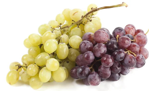 stock image Fresh Grapes