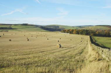 Scottish borders alan ve tepeler ile saman balya