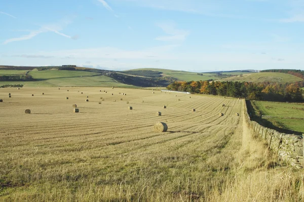 Scottish borders field and hills with hay bales — Stock Photo, Image