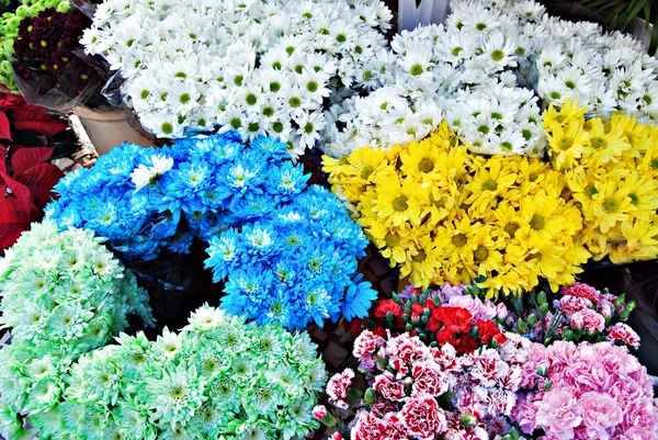 Flores — Stockfoto