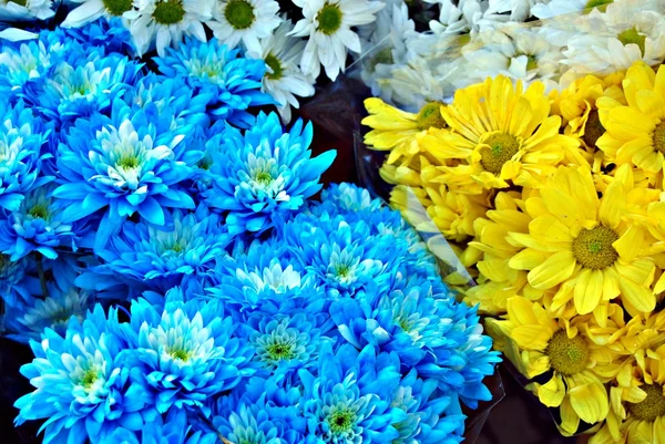 Flores — Stock fotografie