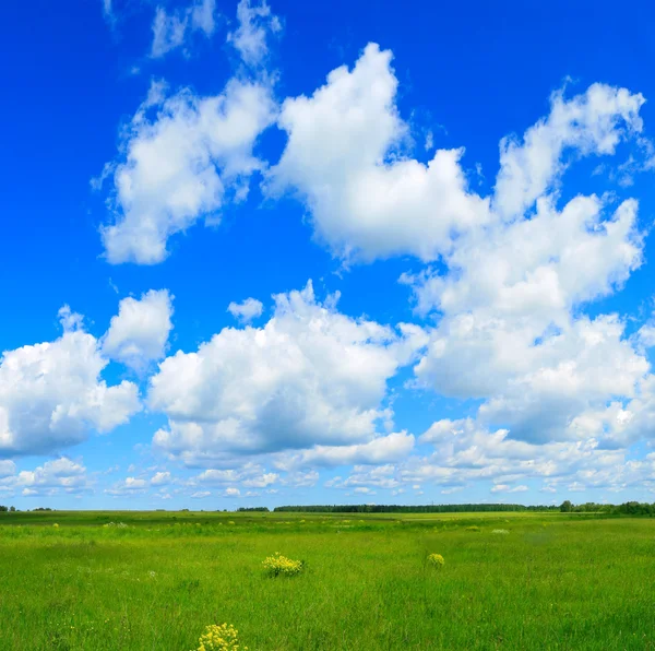 푸른 들판 과푸른 하늘 — 스톡 사진