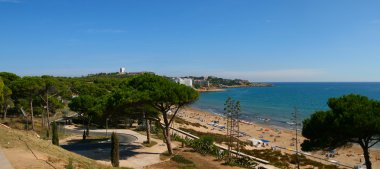 ağaçlar ve deniz Panoraması