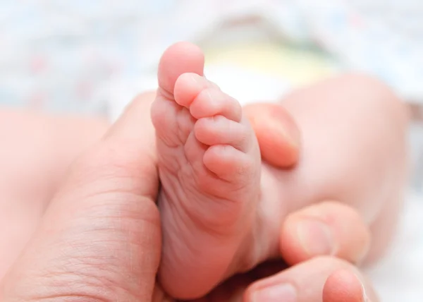 Pied de bébé à la main — Photo