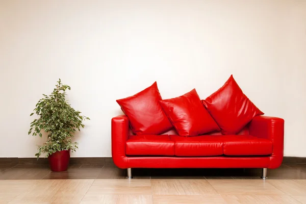 stock image Red leather sofa with pillow with plant near