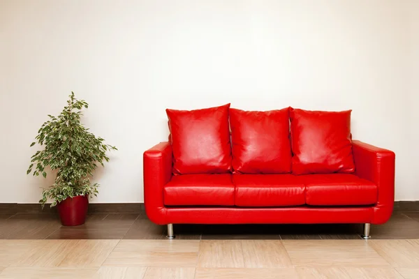 Sofá de couro vermelho com travesseiro e planta — Fotografia de Stock