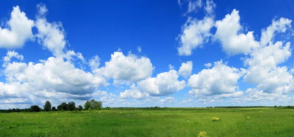 Зеленое поле и голубая панорама неба — стоковое фото