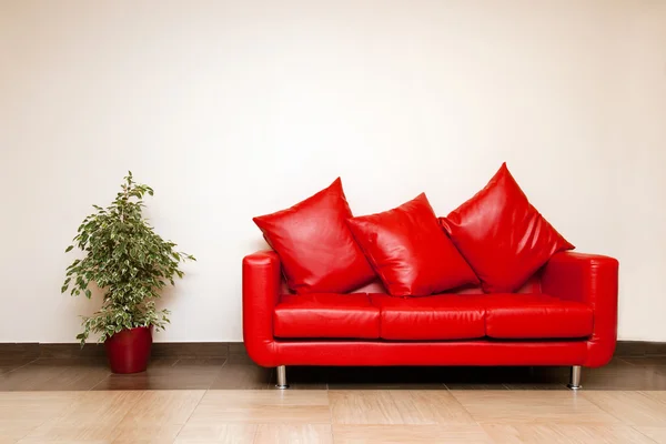 Red leather sofa with pillow with plant near — Stock Photo, Image