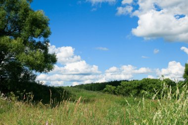 Green field - Landscape clipart