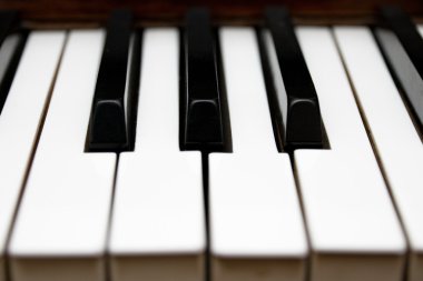 piyano tuşları müzik aleti