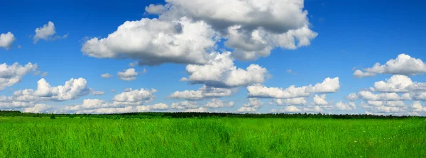 Zvlněné zelené louce panorama — Stock fotografie
