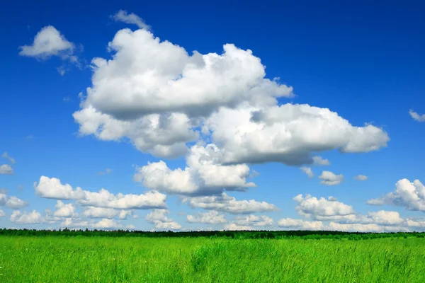 Campo verde y cielo nuboso azul —  Fotos de Stock