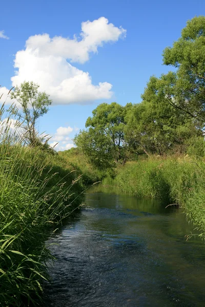 stock image River, trees, clouds