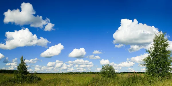 Błękitne niebo i panorama pola — Zdjęcie stockowe