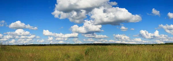 Rotolamento panorama campo verde — Foto Stock