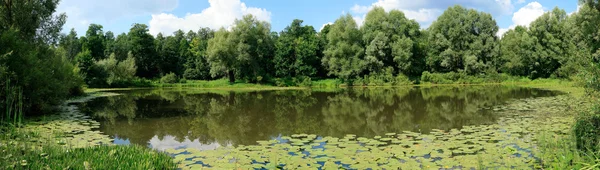 Summer Pond Panorama — Stock Photo, Image