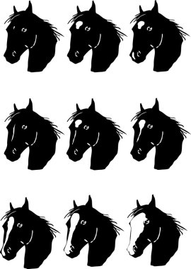 Horse facial markings clipart