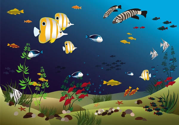 Tropikalne ryby dno oceanu — Wektor stockowy
