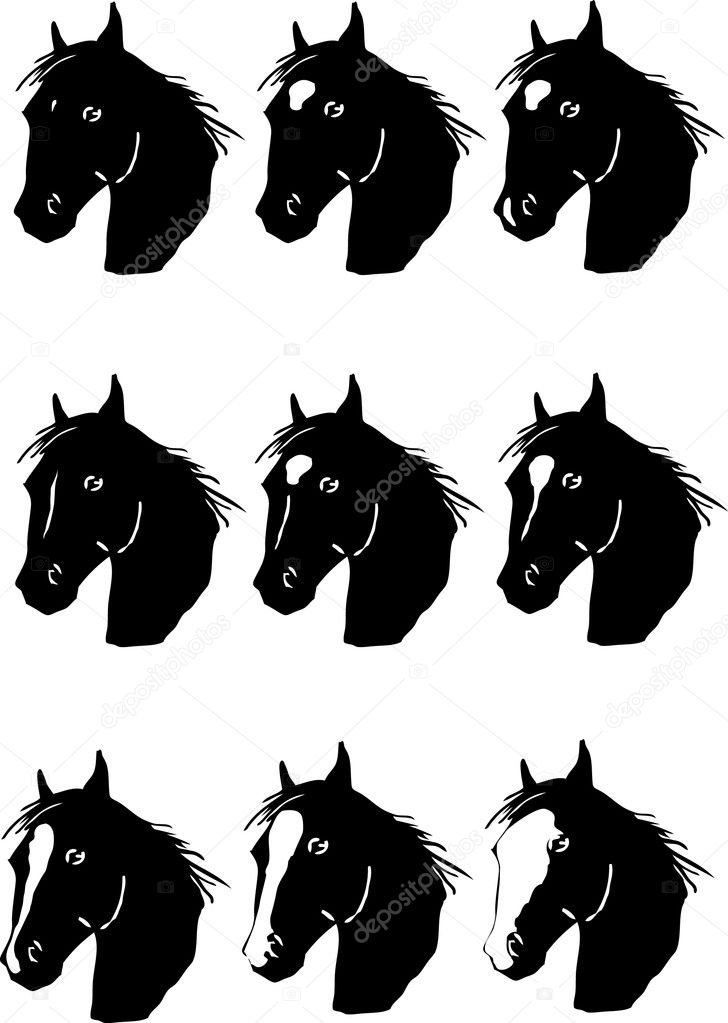 Horse facial markings