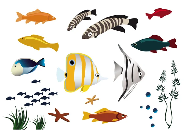 Peixes tropicais coloridos sobre fundo branco — Vetor de Stock
