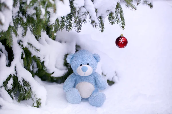Christmas Bear — Stock Photo, Image
