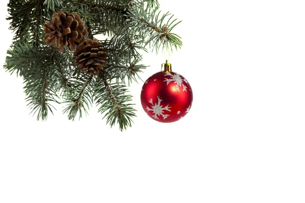 Spruce twigs decorated with a ball — Stock Photo, Image