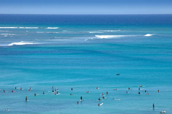 Surfers paradise tropikal plaj