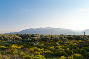 High Desert Sangre De Cristo Mountains NM USA clipart