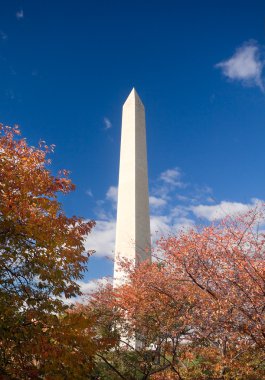 Mavi gökyüzü çerçeveli washington Anıtı sonbahar yaprakları