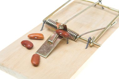 Mousetrap Baited with Beans, Accounting Joke, Isolated Backgroun clipart