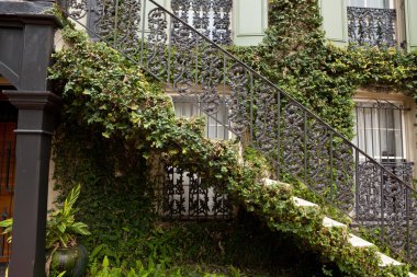 Ivy Covered Staircase Outside Home Savannah Georgia Wrought Iron clipart