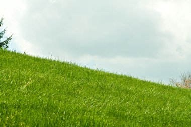 Yeşil çimenli tepe, arka planda bulutlar