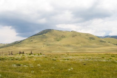 Alpine Mountain Meadow Enchanted Circle New Mexico clipart