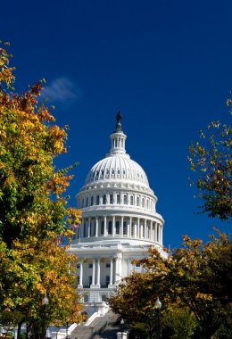 U.S. Capital Building Washington DC Autumn Yellow clipart