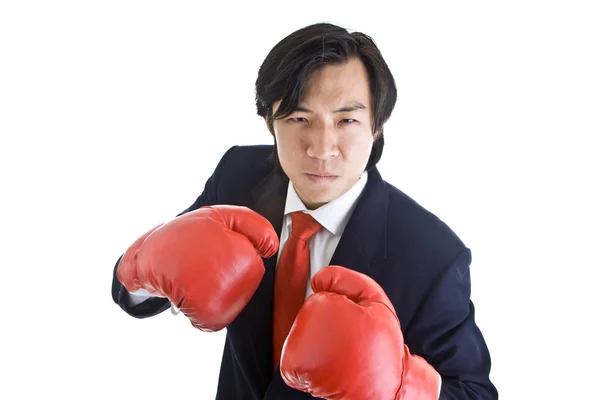 Öfkeli Asya adam boks eldivenleri izole kamera yumruk hazır — Stok fotoğraf
