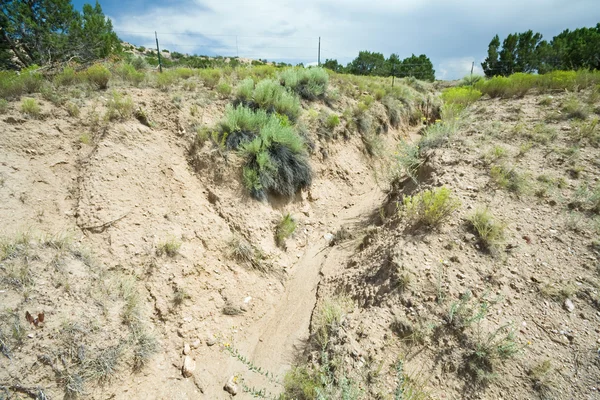 Desert Wash Arroyo Showing Erosion New Mexico — Stock Photo, Image