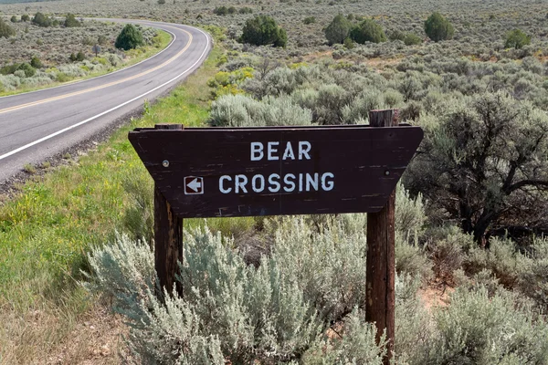 Медведь пересекает указатель дороги в Нью-Мексико Sagebrush — стоковое фото