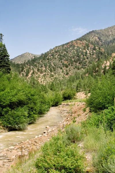 Stream Sangre De Cristo Mountains New Mexico USA — Stock Photo, Image