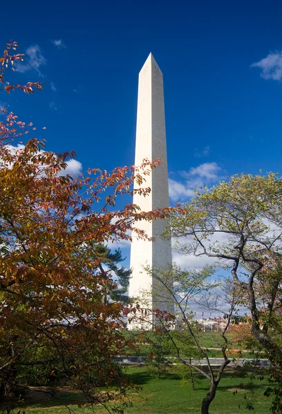 Вашингтонский монумент Autumn Leaves Blue Sky — стоковое фото