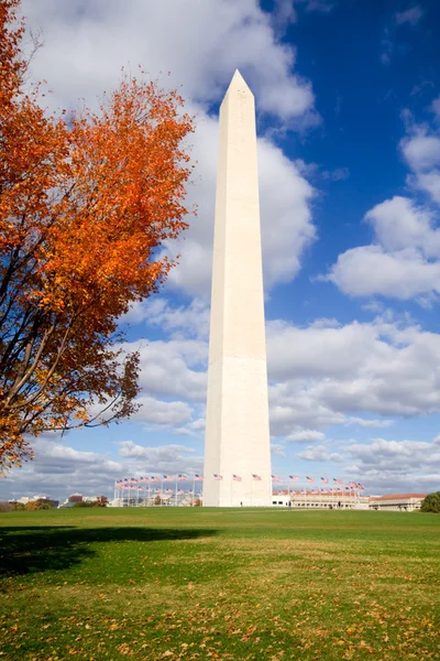 Waszyngton pomnik jesienią ramie pozostawia niebieski niebo — Zdjęcie stockowe