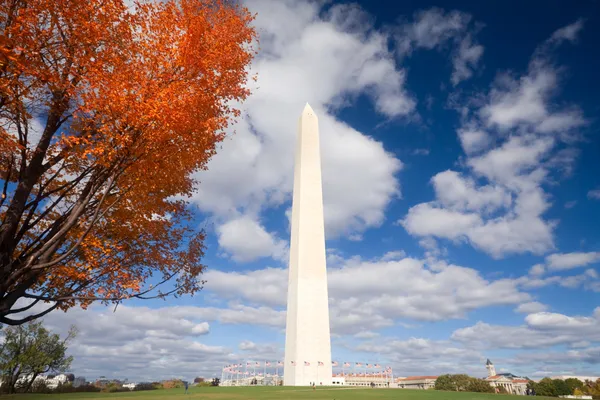 Washington Denkmal Herbst gerahmt Blätter blauer Himmel — Stockfoto