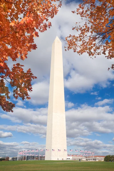 Waszyngton pomnik jesienią ramie pozostawia niebieski niebo — Zdjęcie stockowe