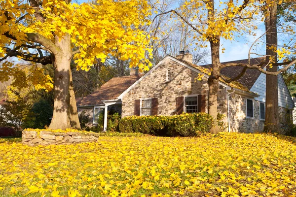 Hus philadelphia gul falla hösten blad träd — Stockfoto