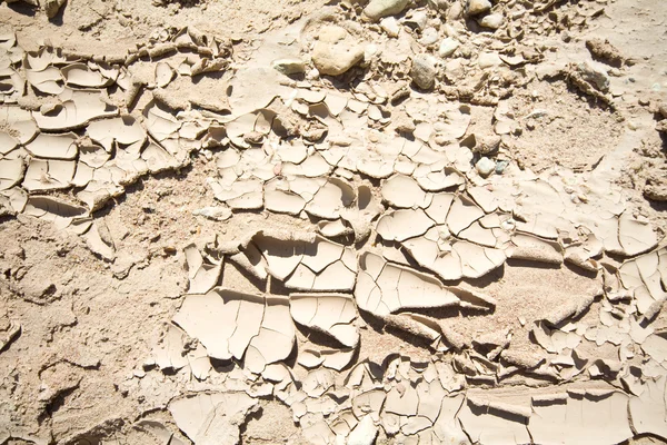 Full Frame Dried Cracked Mud New Mexico — Stock Photo, Image